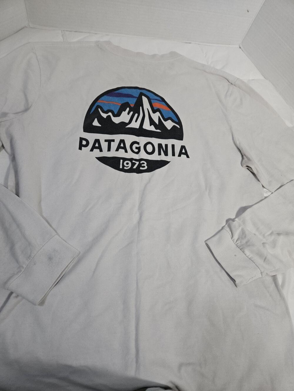 PATAGONIA Fitz Roy Scope RESPONSIBILI-Tee RARE ART Long T-SHIRT Vtg MENS size S